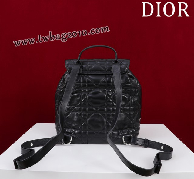 Dior专柜新款迪奥高仿原单女士双肩背包D007-006 djfk1594
